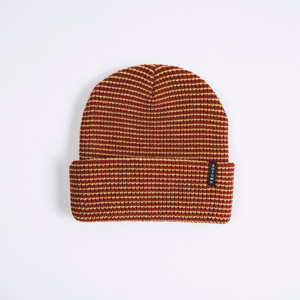Stripe Beanie