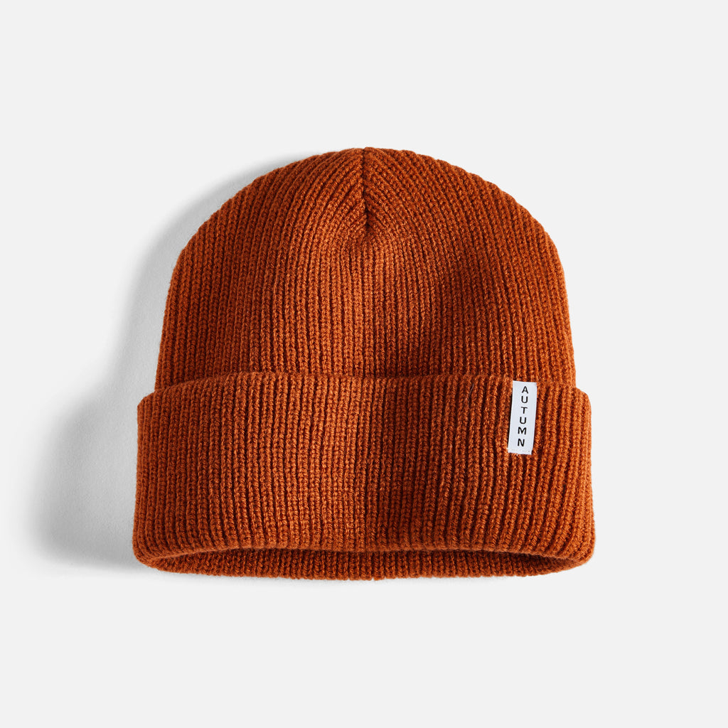 Basic Y Beanie