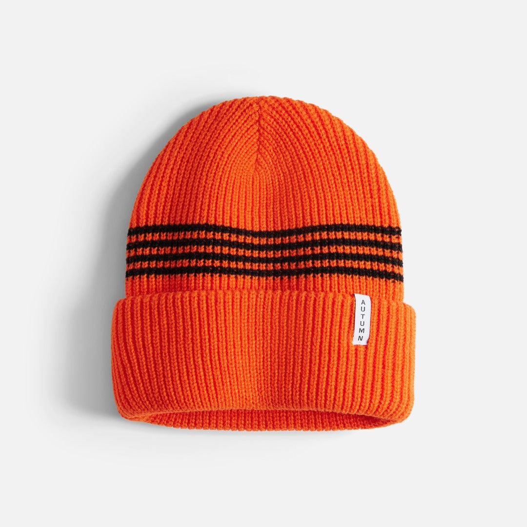 Mini Stripe Y Beanie
